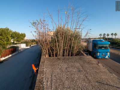 Per raggiungere il �borgo� � necessario percorrere la complanare della 16, prolungamento della �japigina� via Gentile